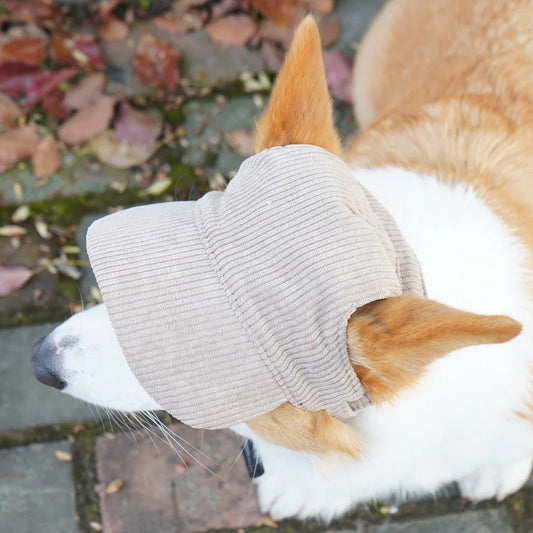 Chapeau de mode pour chien de compagnie, casquette de baseball décontractée, chapeaux de soleil réglables pour chats, petits, moyens et grands chiens, chapeau mignon, accessoire d'extérieur pour chien