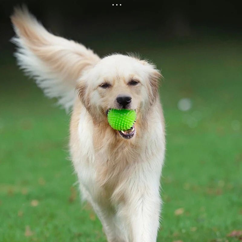 Balle rebondissante Jouets interactifs résistants aux morsures pour chiens de petite, moyenne et grande taille Bouledogue français Chihuahua etc