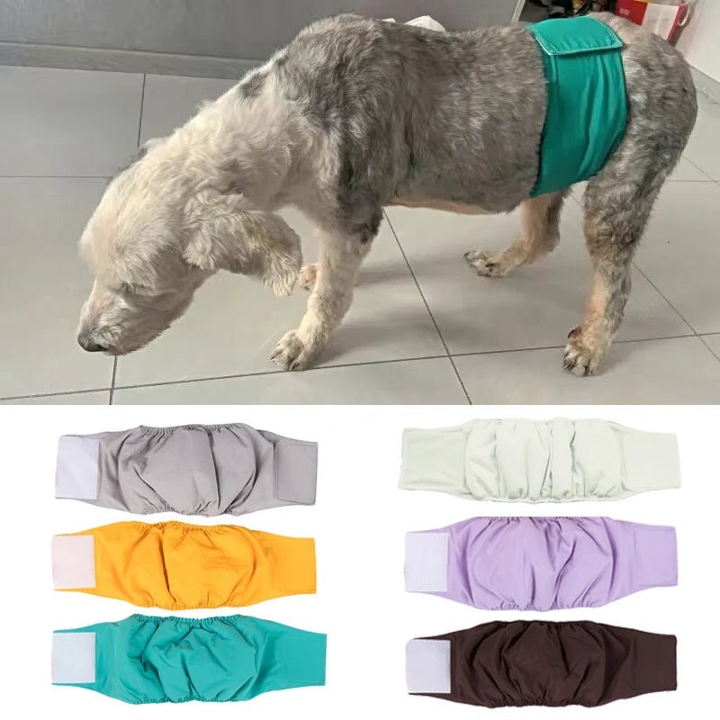 Couches-culottes pour chiens de compagnie de haute qualité, anti-harcèlement, sécurité, culotte physiologique pour chiens mâles de petite et moyenne taille, Teddy Chihuahua