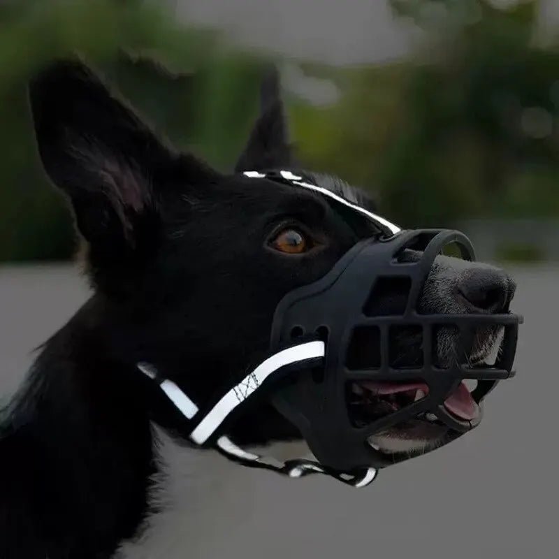 Anti - BarkDog™ - Élifa