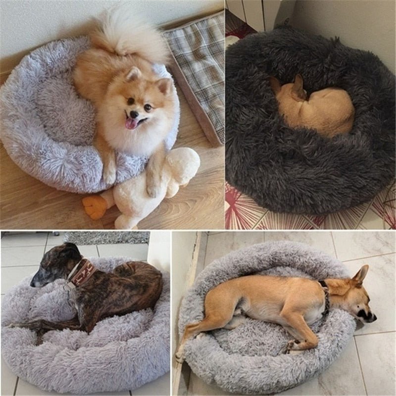 DoggyPouf™ - Coussin doux pour chien - Élifa