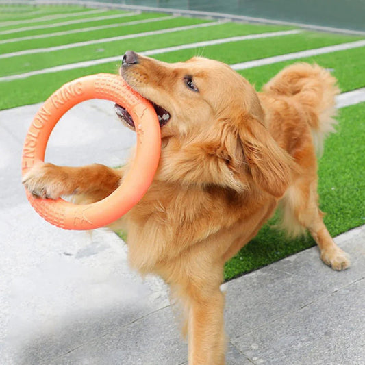 DogTrainingRing™ - Élifa