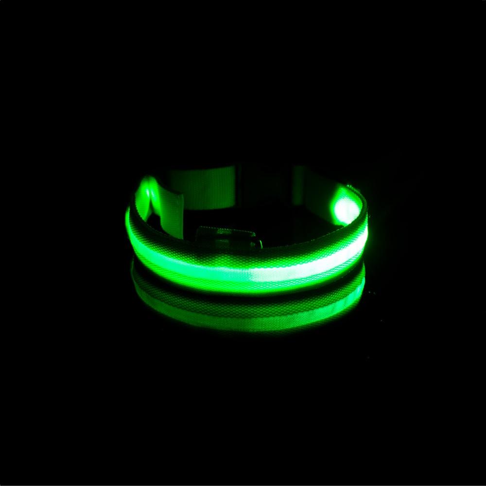 LedCollar™ - Collier à LED rechargeable pour chien - Élifa