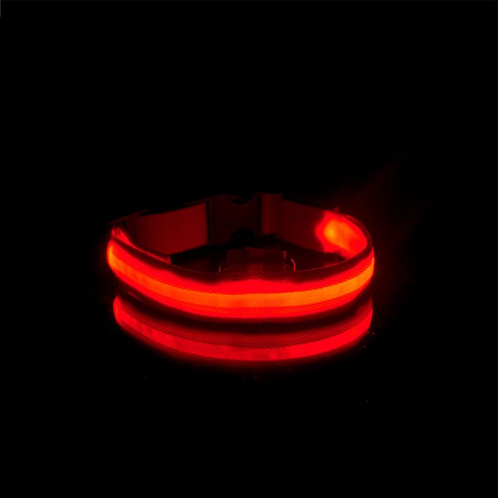 LedCollar™ - Collier à LED rechargeable pour chien - Élifa